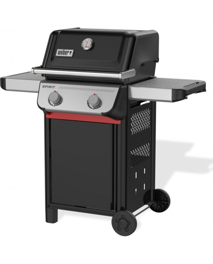 barbecue-weber-a-gas-spirit-e-210 (3)