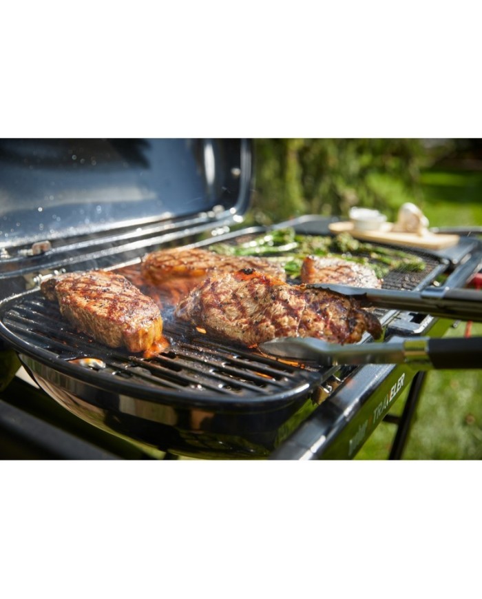 barbecue-a-gas-weber-traveler- (4)