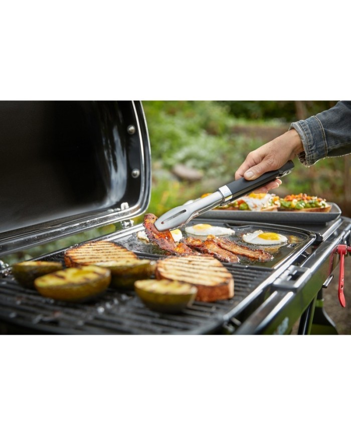 barbecue-a-gas-weber-traveler- (6)