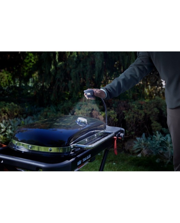 barbecue-a-gas-weber-traveler- (7)