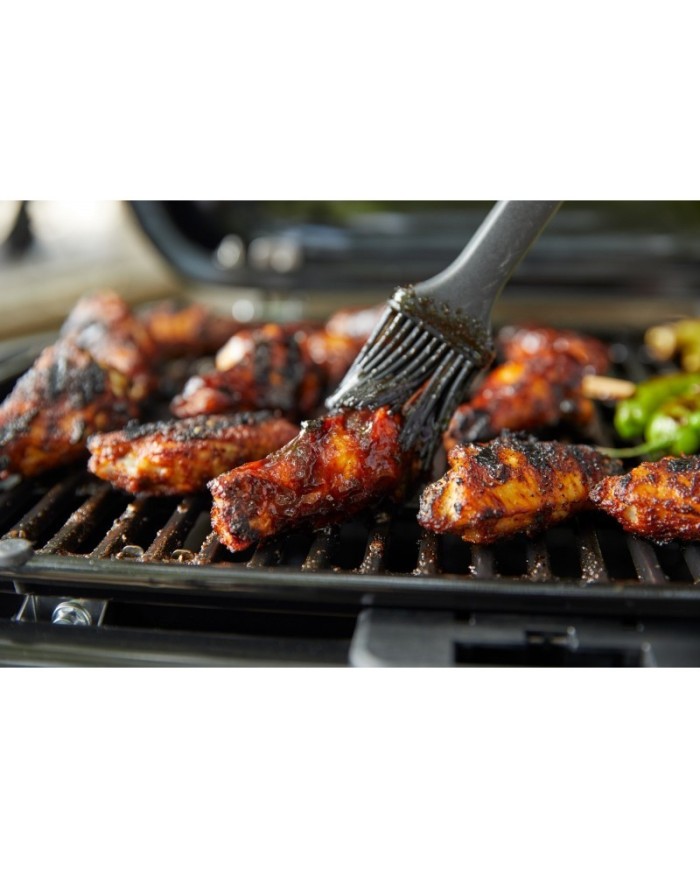 barbecue-a-gas-weber-traveler-compact- (1)