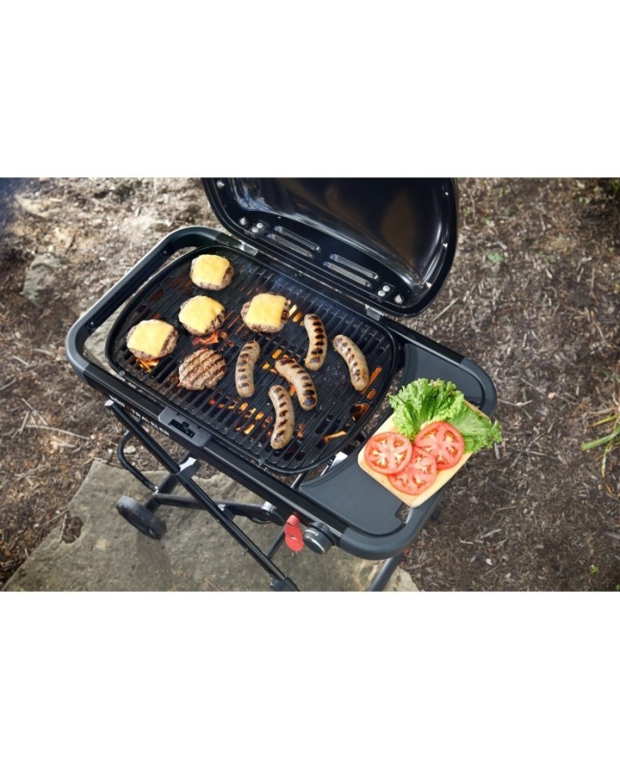 barbecue-a-gas-weber-traveler-compact- (2)