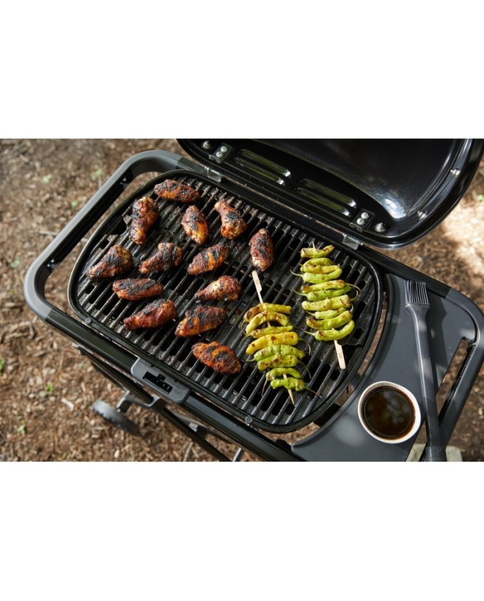 barbecue-a-gas-weber-traveler-compact- (3)